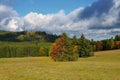 Beautiful autumn landscape. Colourful nature in autumn time. Highlands - Czech Republic