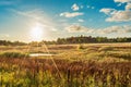 Beautiful autumn landscape with dry grass, trees and a rich sky with clouds in the evening at sunset Royalty Free Stock Photo