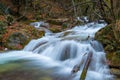 beautiful autumn landscape, fast river in the mountains in the forest