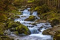 autumn landscape of flowing cascade water in a mountain river Royalty Free Stock Photo