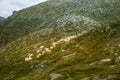 A beautiful autumn landscape in Folgefonna National Park in Norway during a hike in windy, rainy weather. Mountains in Scandinavia