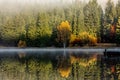 Beautiful autumn landscape with golden and copper colored trees in the morning mist reflected in the lake Royalty Free Stock Photo