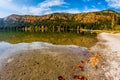 Beautiful autumn landscape with golden and copper colored trees