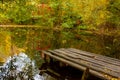 Beautiful autumn landscape. Autumn gradient of flowers. Colorful foliage on the trees