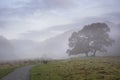 Beautiful Autumn landscape image of River Brathay in Lake District lookng towards Langdale Pikes with fog across river and vibrant Royalty Free Stock Photo
