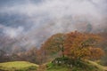 Beautiful Autumn landscape image of River Brathay in Lake District lookng towards Langdale Pikes with fog across river and vibrant Royalty Free Stock Photo