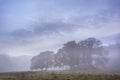 Beautiful Autumn landscape image of River Brathay in Lake District lookng towards Langdale Pikes with fog across river and vibrant Royalty Free Stock Photo