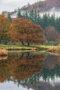 Beautiful Autumn landscape image of River Brathay in Lake District lookng towards Langdale Pikes with fog across river and vibrant Royalty Free Stock Photo