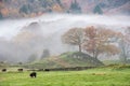 Beautiful Autumn landscape image of River Brathay in Lake District lookng towards Langdale Pikes with fog across river and vibrant Royalty Free Stock Photo