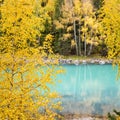 Beautiful autumn landscape in kanas Royalty Free Stock Photo
