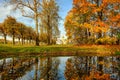 Beautiful autumn landscape in the Kuskovo park, Moscow. Yellow-orange tree leaves are reflected in the water