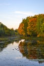 Beautiful autumn landscape. Lake, yellow and red trees by the lake. Reflection in water. Blue sky. Sunny autumn day Royalty Free Stock Photo