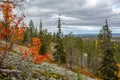 Beautiful autumn landscape in Lapland, view from mountain