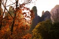 Beautiful autumn landscape in Meteora, Greece