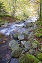 Beautiful autumn landscape Royalty Free Stock Photo