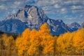 Beautiful autumn landscape with Mount Moran and trees Grand Teton National Park, Wyoming, USA Royalty Free Stock Photo