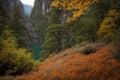 Beautiful autumn landscape with a mountain lake and yellow flowers in the mountains Royalty Free Stock Photo