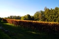 Beautiful Autumn Landscape With Multi-Colored Lines Of Vineyards Grapevines. Autumn Color Vineyard Royalty Free Stock Photo