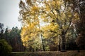 Beautiful autumn landscape. National park Sofiivka, Uman, Ukraine. Autumn park, forest Royalty Free Stock Photo