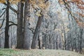 Beautiful autumn landscape. National park Sofiivka, Uman, Ukraine. Autumn park, forest Royalty Free Stock Photo