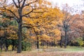 Beautiful autumn landscape. National park Sofiivka, Uman, Ukraine. Autumn park, forest Royalty Free Stock Photo