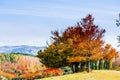 Beautiful autumn landscape next to Wernigerode in Germany Royalty Free Stock Photo