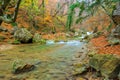 Beautiful autumn landscape, a river flowing into a gorge in the mountains and fallen leaves Royalty Free Stock Photo