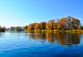 beautiful autumn landscape on the river orange trees reflected in the river selective focus Royalty Free Stock Photo