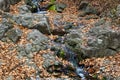 Beautiful autumn landscape with a small waterfall in a forest with stone terrain. Rocks and water stream covered with fallen Royalty Free Stock Photo