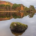 Beautiful Autumn landscape sunrise image looking towards Catbells from Manesty Park in Lake District with mist rolling across the Royalty Free Stock Photo