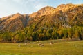 Beautiful Autumn landscape under The Alps, Austria