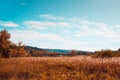 Beautiful autumn landscape. Vibrant colors