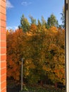 Beautiful autumn landscape view from the window Royalty Free Stock Photo