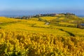 Beautiful autumn landscape with vineyards near the historic village of Riquewihr, Alsace, France - Europe. Colorful travel and Royalty Free Stock Photo