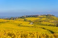 Beautiful autumn landscape with vineyards near the historic village of Riquewihr, Alsace, France - Europe. Colorful travel and Royalty Free Stock Photo