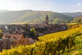 Beautiful autumn landscape with vineyards near the historic village of Riquewihr, Alsace, France - Europe. Colorful travel and Royalty Free Stock Photo