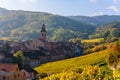 Beautiful autumn landscape with vineyards near the historic village of Riquewihr, Alsace, France - Europe. Colorful travel and Royalty Free Stock Photo