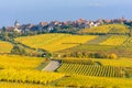 Beautiful autumn landscape with vineyards near the historic village of Riquewihr, Alsace, France - Europe. Colorful travel and Royalty Free Stock Photo