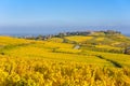 Beautiful autumn landscape with vineyards near the historic village of Riquewihr, Alsace, France - Europe. Colorful travel and Royalty Free Stock Photo