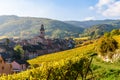 Beautiful autumn landscape with vineyards near the historic village of Riquewihr, Alsace, France - Europe. Colorful travel and Royalty Free Stock Photo