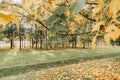 Beautiful autumn landscape with yellow trees, dry orange leaves and sun's rays. Colorful foliage in city park. Falling Royalty Free Stock Photo