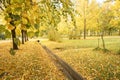 Beautiful autumn landscape with yellow trees, dry orange leaves and sun`s rays. Colorful foliage in city park. Falling leaves on Royalty Free Stock Photo