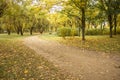 Beautiful autumn landscape with yellow trees, dry orange leaves and sun`s rays. Colorful foliage in city park. Falling leaves on Royalty Free Stock Photo