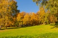 Beautiful autumn landscape with yellow trees,green and sun. Colorful foliage in the park. Falling leaves natural background Royalty Free Stock Photo
