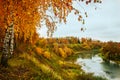 Beautiful autumn landscape, yellow trees by the river Royalty Free Stock Photo