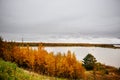 Beautiful autumn landscape, yellow trees by the river Royalty Free Stock Photo