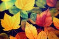 Beautiful Autumn Leaves Backgrounds - Aquarel Illustration