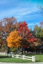 Beautiful autumn leaves behind a white brick and wood fence and ranch-style house with green grass and beautiful blue skies Royalty Free Stock Photo