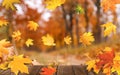 Beautiful autumn leaves falling on wooden surface in park