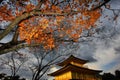 Autumn at Kinkaku-ji, the Golden Pavilion in Kyoto, Japan